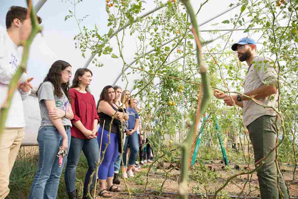 New environmental and sustainability studies major approved